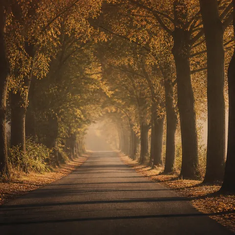 A friendly illustration showing road
