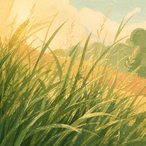 A friendly illustration showing grass